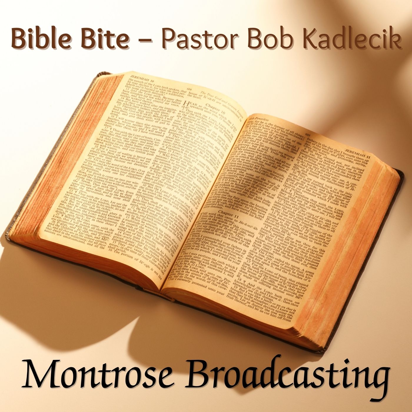 Bible Bite podcast artwork